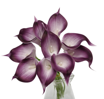 pack of 10-Real touch calla lily Plum Picasso Purple - Angel Isabella