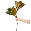 Large 30in Magnolia Leaves with 2 Sprays-Stunning floral display - Angel Isabella