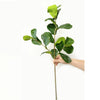 Large 30inch Quality artificial Fiddle Leaf branch with 3 sprays